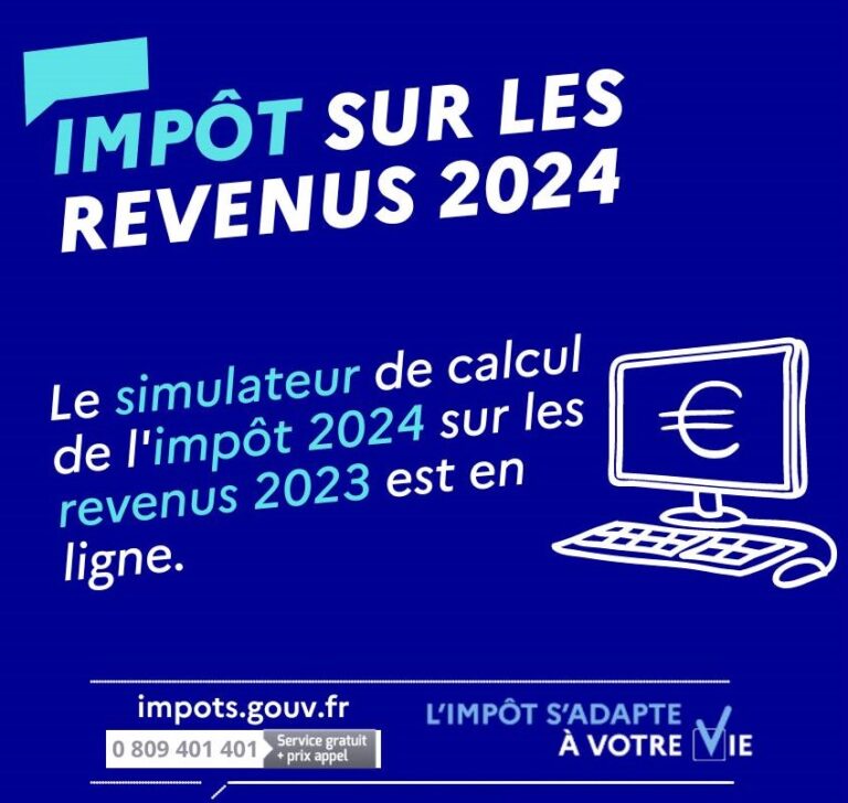 Online Tax simulatr_2024-France